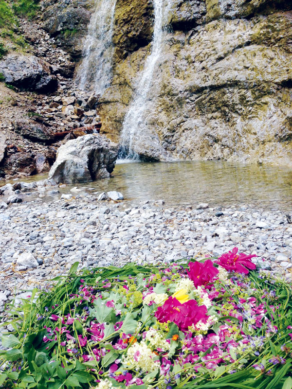 Werk - Naturkunst (C) Susanne SchoÔòá├¬llhammer