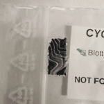 2 Cychlorphine Blotter im Format 6x6 mm mit bunter Bedruckung.