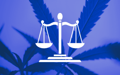 Zwei Jahre Cannabisgesetz: Legalisiert, aber noch nicht angekommen